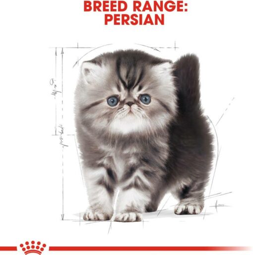 Royal Canin Persian Kitten Dry Cat Food