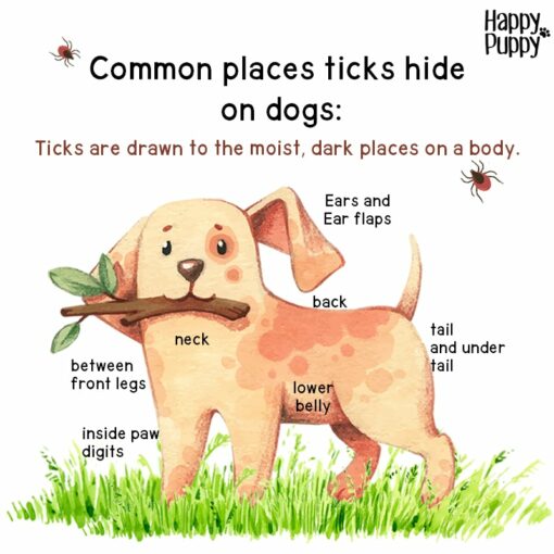 Happy Puppy Tick Bomb: Natural Anti-tick Spray, 50 ml