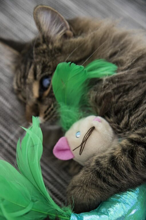 SmartyKat Kicked Critter Soft Plush Kicker Cat Toy