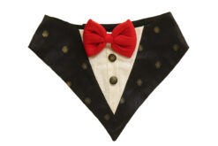 Floof & Co Black Silk Tux Bandana with Red Bow for Dogs