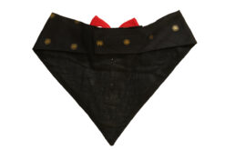 Floof & Co Black Silk Tux Bandana with Red Bow for Dogs