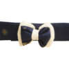 Floof & Co Blue & Cream Silk Collar With Bow for Dogs