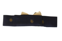 Floof & Co Blue & Cream Silk Collar With Bow for Dogs