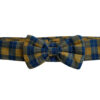 Floof & Co Blue & Yellow Checks Collar With Bow for Dogs