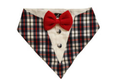 Floof & Co Checks Tux Bandana with Red Bow for Dogs