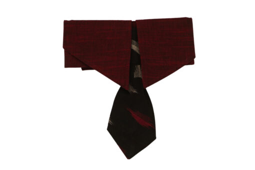 Floof & Co Stylish Red Neck Tie For Dogs