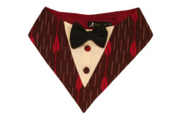 Floof & Co Red Handloom Tux Bandana with Black Bow for Dogs