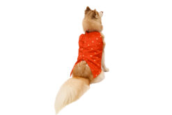Floof & Co Red Handloom Tuxedo For Dogs