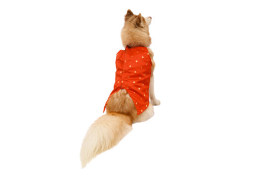 Floof & Co Red Handloom Tuxedo For Dogs