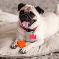 Bark Butler Just a Snitch Dog Chew Toy - Orange