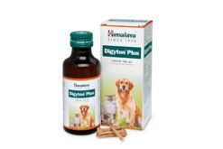 Himalaya Digyton Plus Digestive Syrup, 100 ml