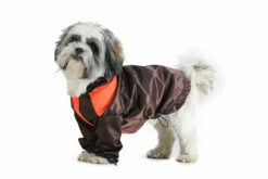 Barks & Wags Hooded Dog Raincoat - Brown & Orange-2