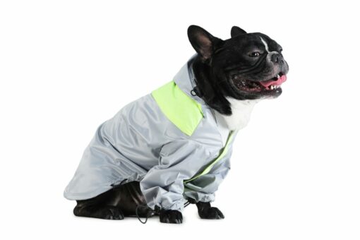 Barks & Wags Hooded Dog Raincoat - Sliver & Lime Green