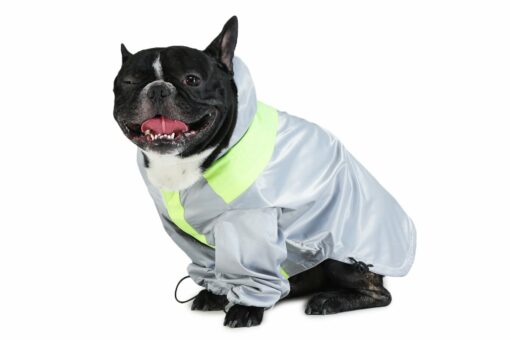 Barks & Wags Hooded Dog Raincoat - Sliver & Lime Green