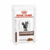Royal Canin Veterinary Diet Gastrointestinal Wet Cat Food, 85 gms