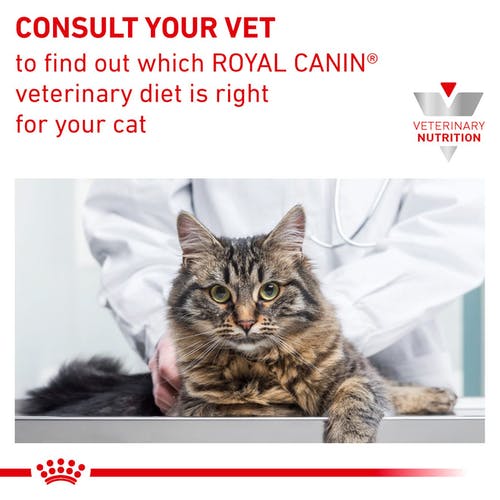 Royal Canin Veterinary Diet Renal with Chicken Formula Wet Cat Food, 85 gms (Pack of 12)
