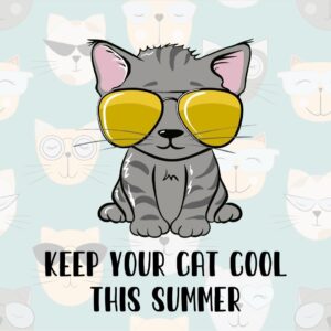 How to Keep Your Cat Cool This Summer