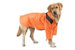 Barks & Wags Microfiber Dog Raincoat - Orange