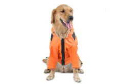Barks & Wags Microfiber Dog Raincoat - Orange
