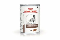 Royal Canin Veterinary Diet Gastrointestinal Loaf Wet Dog Food, 400 gms