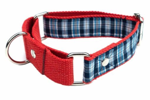 Dog-O-Bow Blue Check Martingale Thick Collar