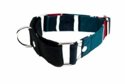 Dog-O-Bow Dark Stripe Martingale Thick Collar