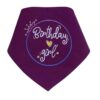 Birthday girl neckerchief