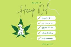 healing leaf hemp oil