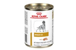 Royal Canin Veterinary Canine Urinary SO Wet Dog Food, 410 gms (Pack of 4)