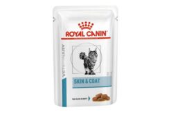Royal Canin Skin & Coat Wet Cat Food, 85 gms (Pack of 12)