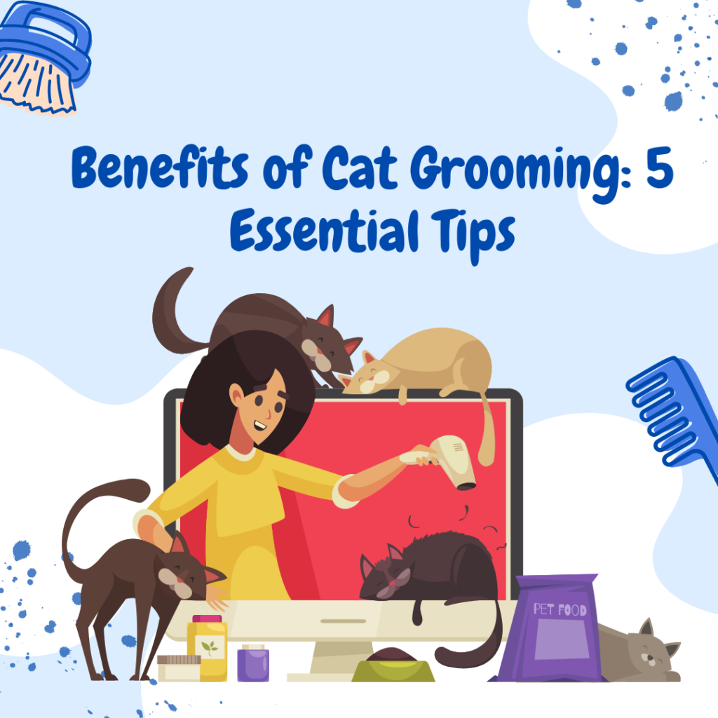 Benefits of Cat Grooming: 5 Essential Tips
