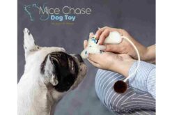 Jazz My Home Mice Chase Dog Toy - Big