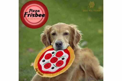 Jazz My Home Pizza Frisbee Dog Toy