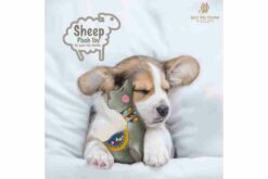 Jazz My Home Sheep Plush Dog Toy