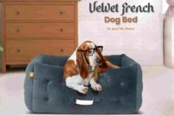 jazz my home velvet comfy french dog bed