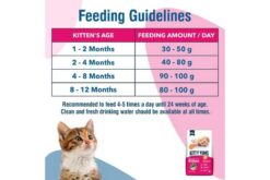 Kitty Yums Dry Cat Food for Kittens - Ocean Fish