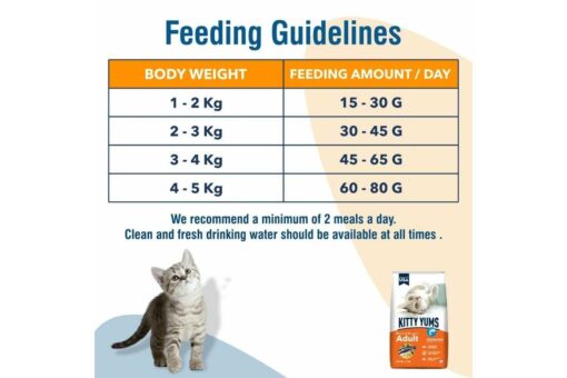 Kitty Yums Dry Cat Food (All Breeds) - Adult Ocean Fish