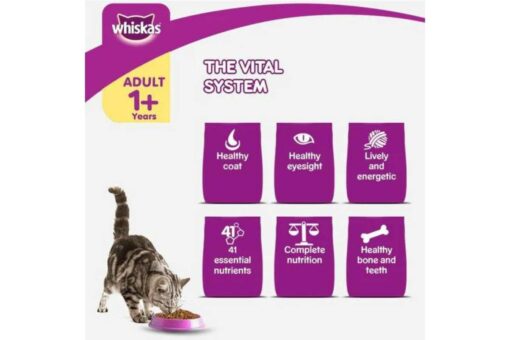 Whiskas Grilled Saba Flavour Adult (1+ years) Dry Cat Food