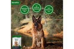 Barkstix Dog Treats for Training Adult Puppies, 100g - Soft Chew Stick Hip, Joint, Skin & Coat - Sea Buckthorn Pulp, Ashwagandha (Chicken & Hemp)