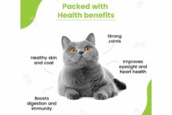 Kittystix™ Healthy Treats for Adult Cats & Kittens - Chicken & Herbs - 70gm