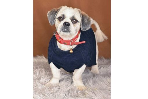 Petsnugs Cable Knit Sweater for Dogs & Cats
