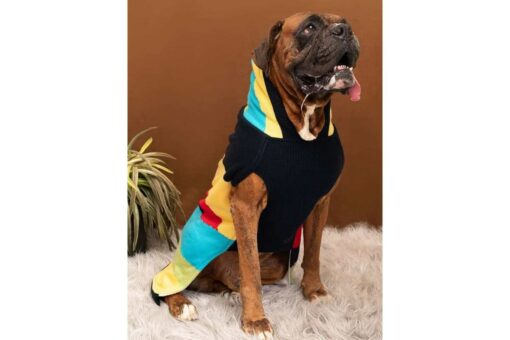 Petsnugs Colourblocked Knit Sweater For Dogs & Cats