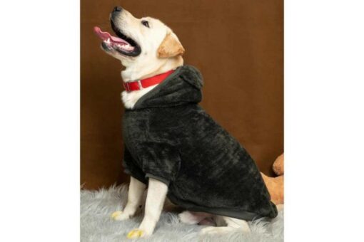 Petsnugs Fluffy Sweatshirt for Dogs & Cats - Olive Green