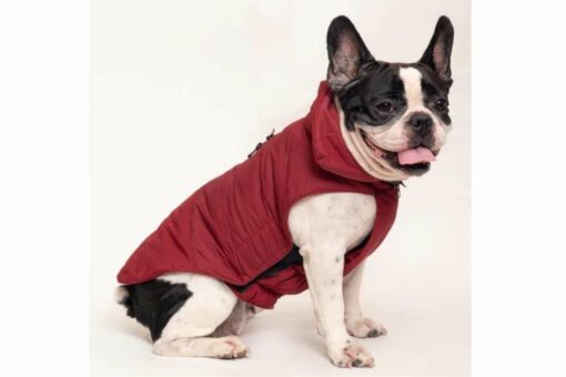 Petsnugs Jacket for Dogs & Cats - Maroon