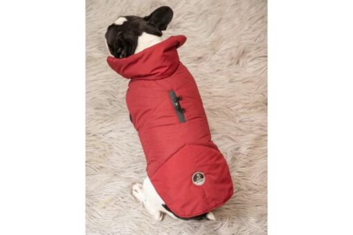 Petsnugs Jacket for Dogs & Cats - Maroon