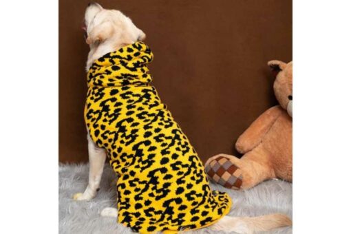Petsnugs Leopard Knit Sweater for Dogs & Cats - Yellow & Black