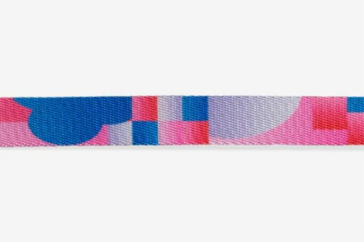 Zee.Dog Noon Dog Collar (Limited Edition)