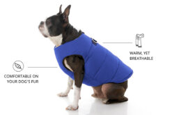 Zoomiez Ultimate Dog Jacket With Built in Harness - Blue 3