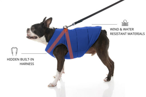 Zoomiez Ultimate Dog Jacket With Built-in Harness - Blue