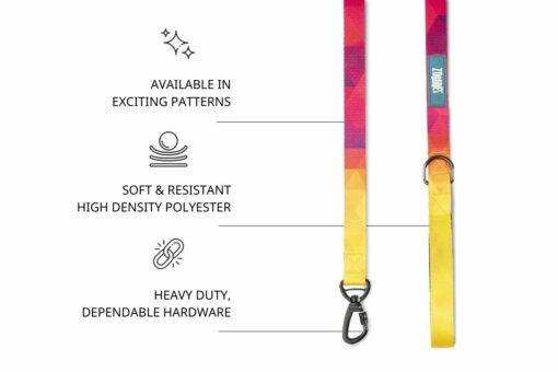 Zoomiez Solar Dog Leash & H-Harness Walking Set